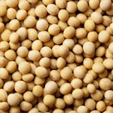 Soybean extract